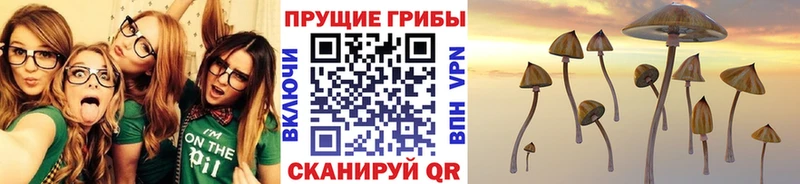 Псилоцибиновые грибы Magic Shrooms  купить   Реж 